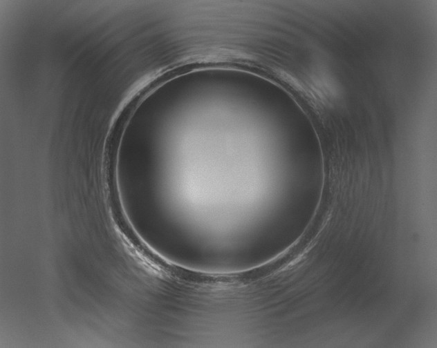 X0000051901122200507011500