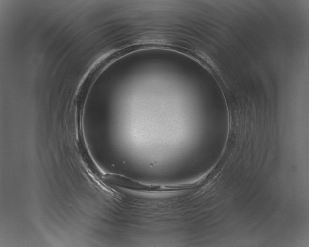 X0000051901123200507011500