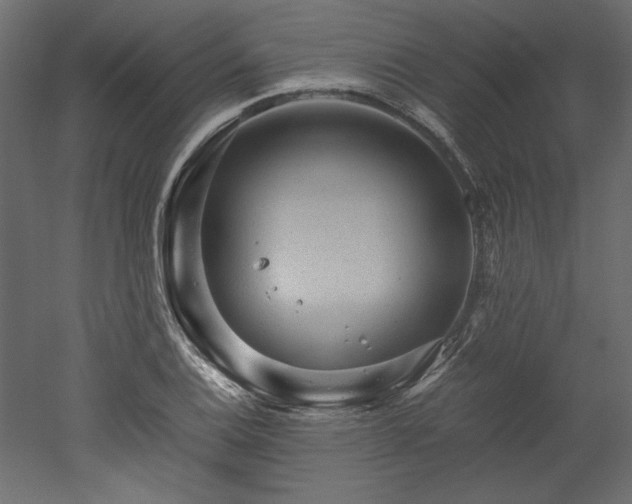 X0000051901124200507011500