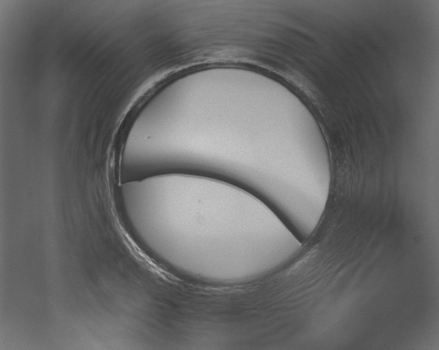 X0000051901126200507011500