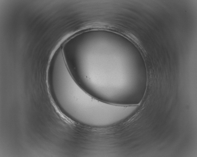 X0000051901128200507011500