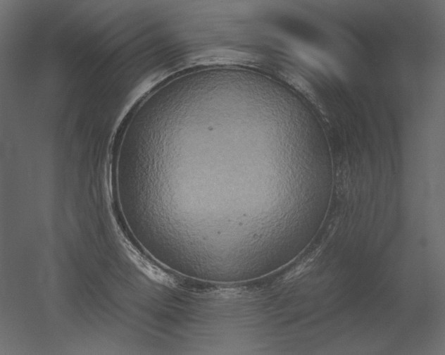 X0000051901130200507011500