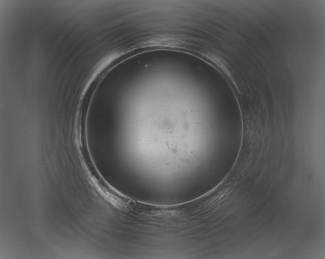 X0000051901131200507011500