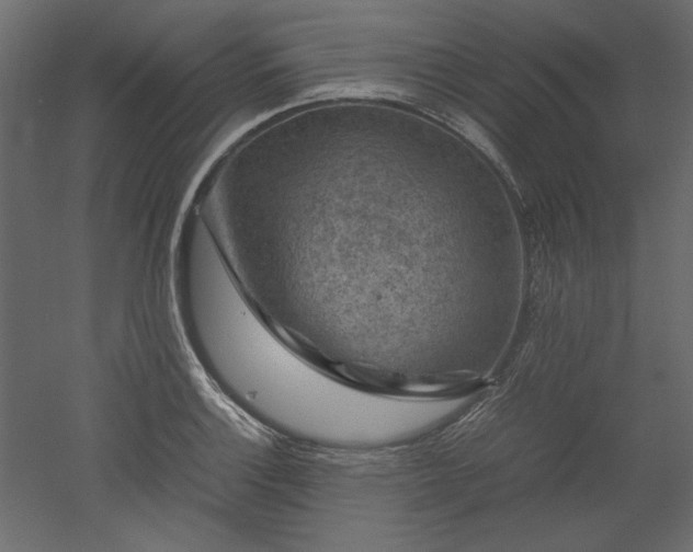 X0000051901132200507011500