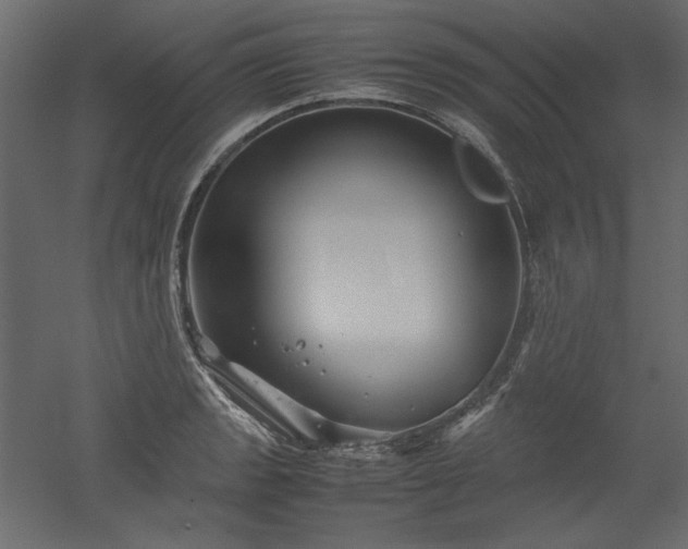 X0000051901133200507011500