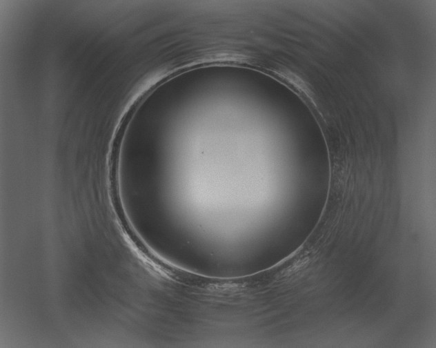 X0000051901135200507011500
