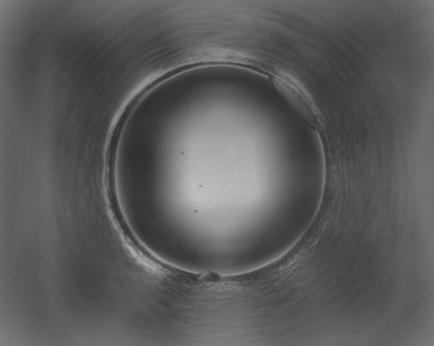 X0000051901136200507011500