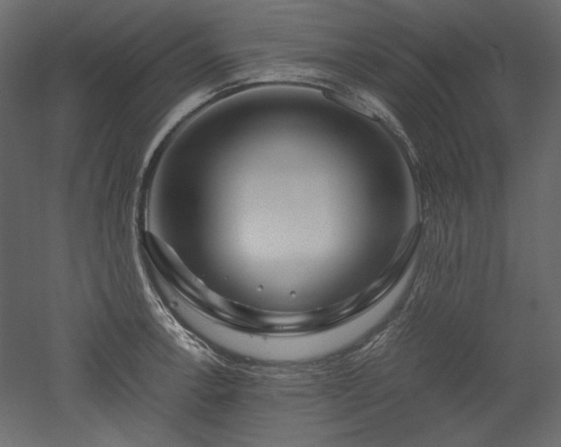 X0000051901138200507011500