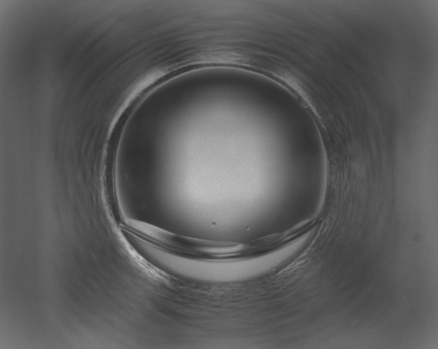 X0000051901139200507011500