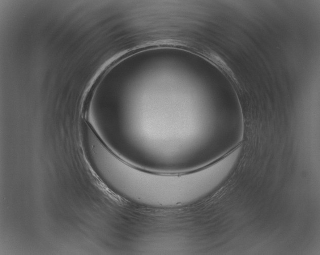 X0000051901140200507011500