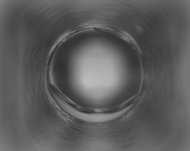 X0000051901146200507011500