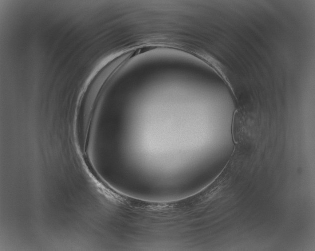 X0000051901147200507011500