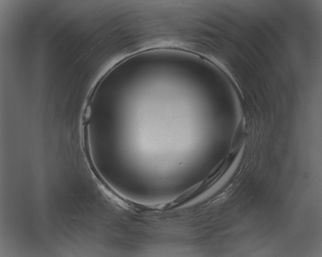 X0000051901151200507011500