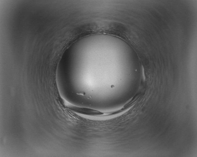 X0000051901153200507011500