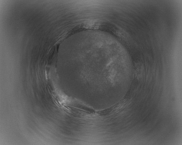X0000051901154200507011500