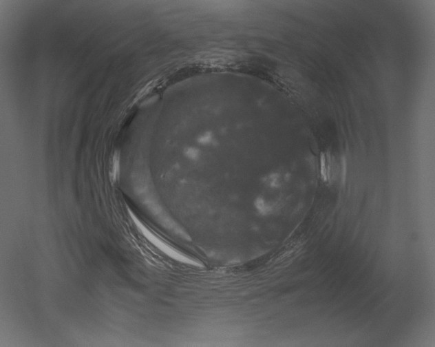 X0000051901155200507011500