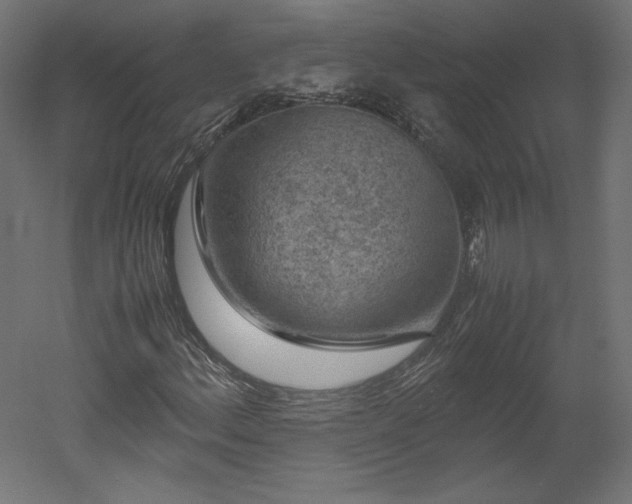 X0000051901156200507011500