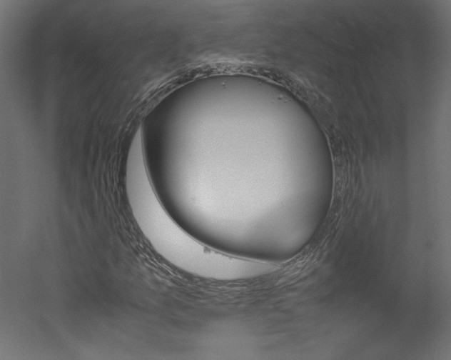 X0000051901157200507011500
