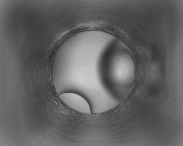 X0000051901158200507011500