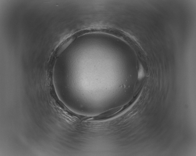 X0000051901160200507011500