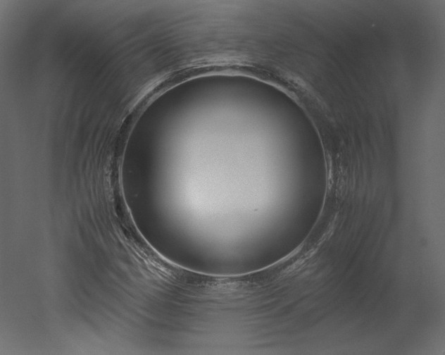 X0000051901162200507011500