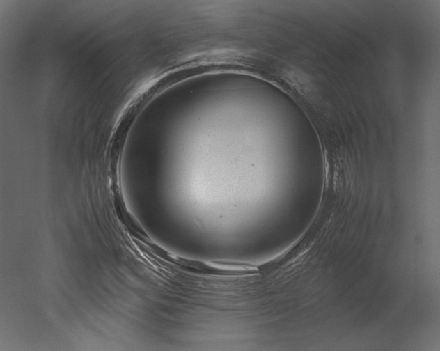 X0000051901164200507011459