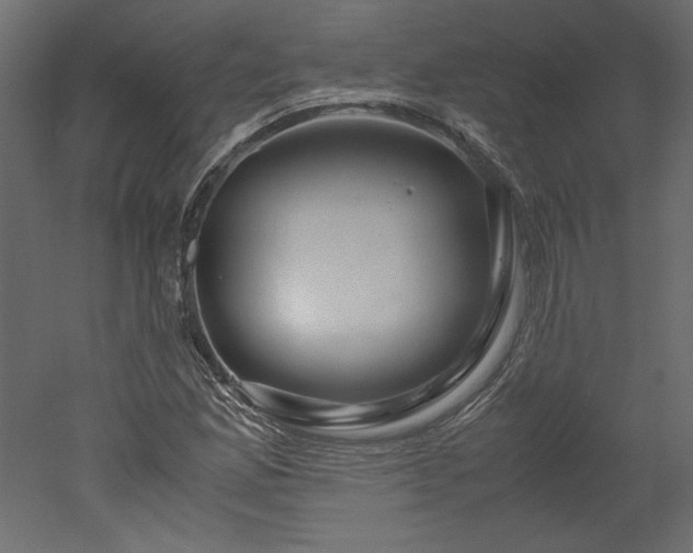 X0000051901165200507011459
