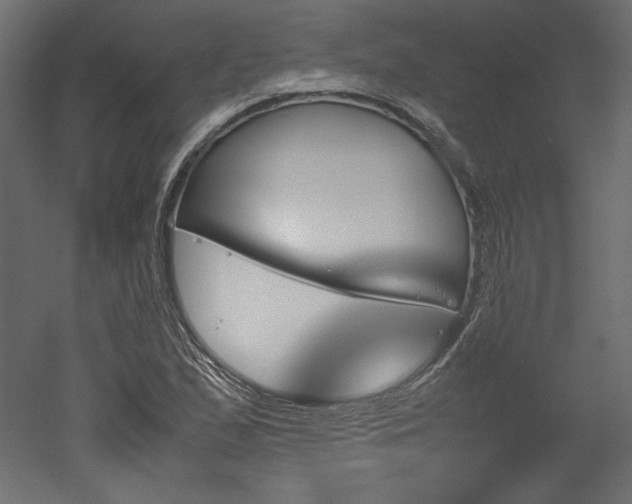 X0000051901167200507011459