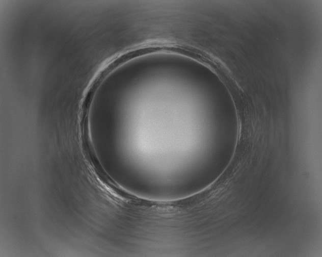 X0000051901168200507011459