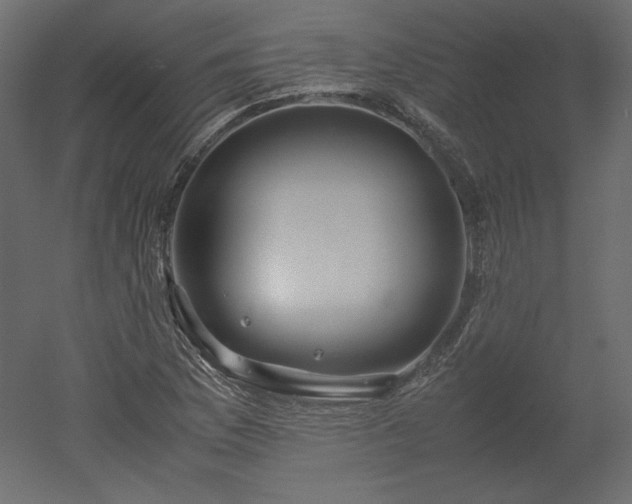 X0000051901169200507011459