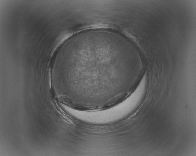 X0000051901171200507011459