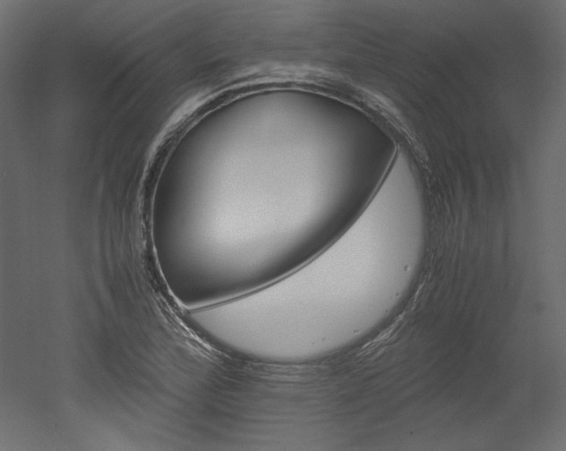 X0000051901172200507011459