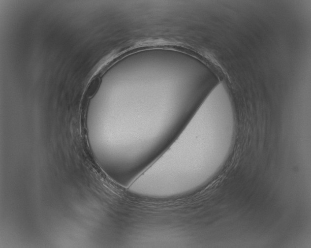 X0000051901173200507011459
