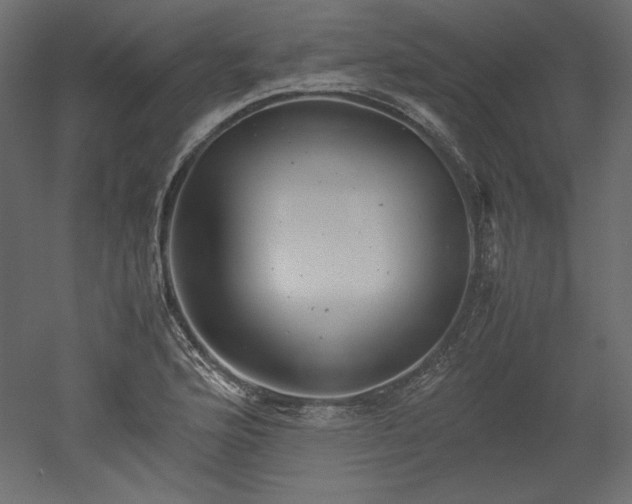 X0000051901176200507011459