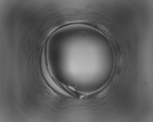 X0000051901177200507011459
