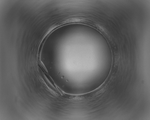 X0000051901178200507011459