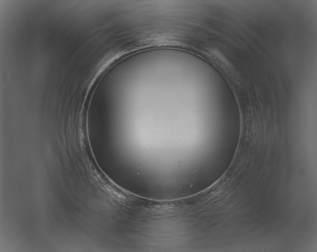 X0000051901182200507011459
