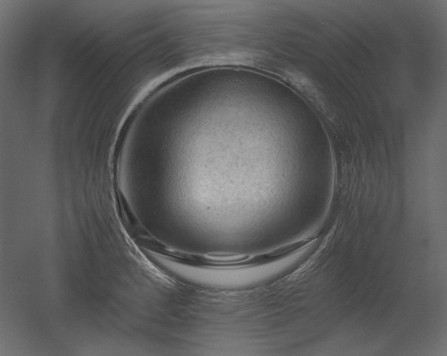X0000051901184200507011459