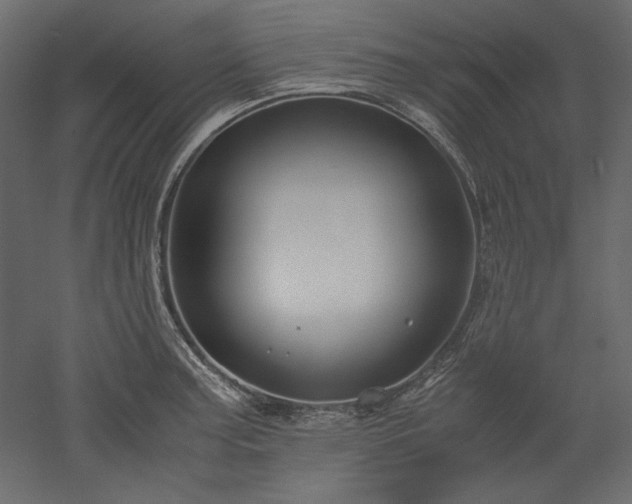 X0000051901187200507011459