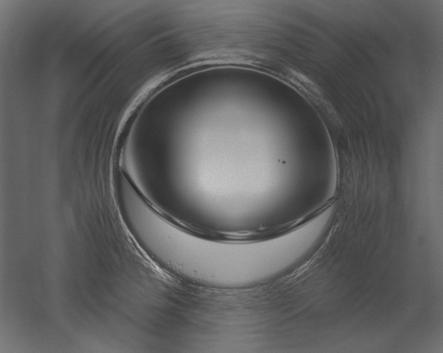 X0000051901188200507011459