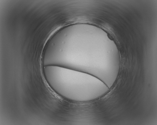 X0000051901190200507011459