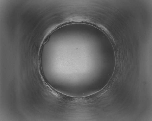X0000051901191200507011459