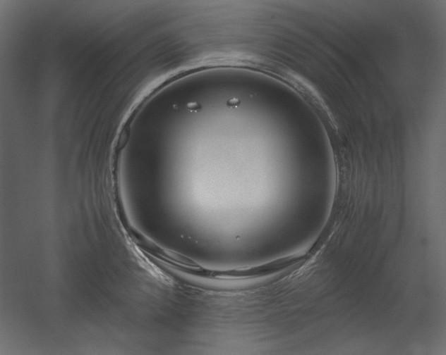 X0000051901192200507011459
