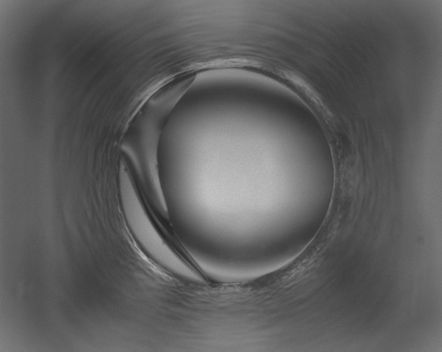X0000051901193200507011459
