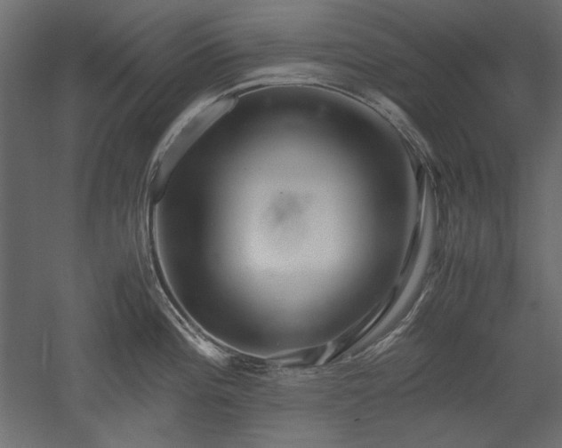 X0000051901196200507011459