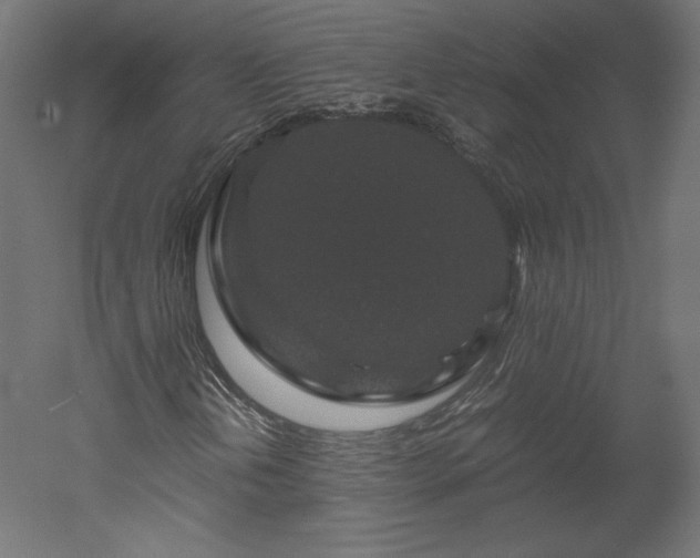 X0000051901202200507011458