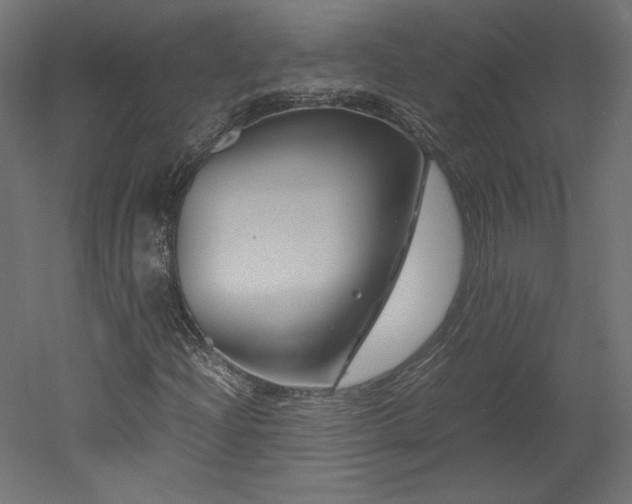 X0000051901204200507011458