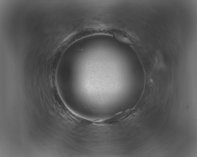 X0000051901205200507011458