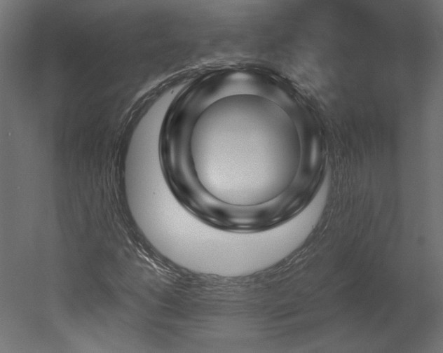X0000051901206200507011458
