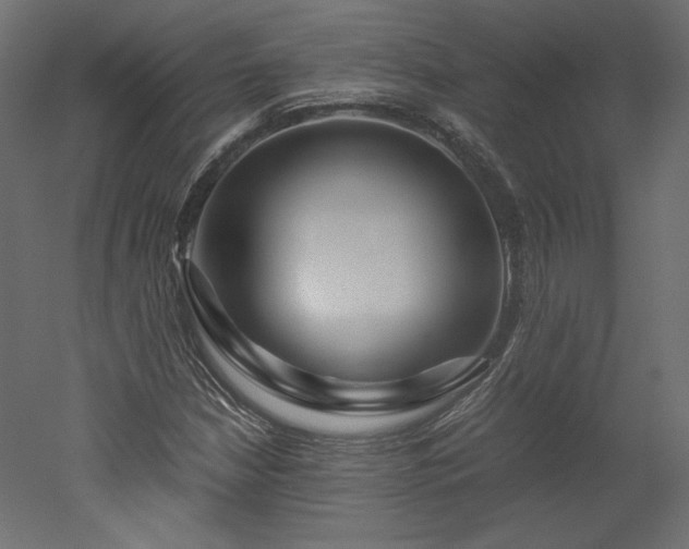 X0000051901210200507011458